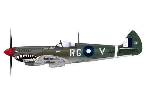 eduard Spitfire Mk.VIII A58-602 Bobby JF330 Gibes Broadhust 1:72 USAF NEU kit