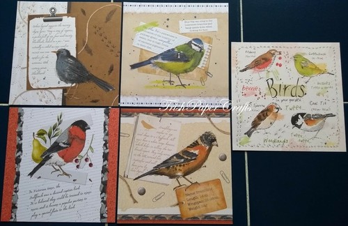 SAMPLE SET 25 5x5/" Shts~ Hunkydory *NEW* SQUARE LITTLE BOOK OF WATERCOLOUR WINGS