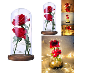 Rose en soie Rouge sous Dôme verre Double Fleurs éternelles Décoration Intérieur 