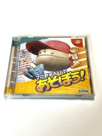 Sega Dreamcast Pro Yakyu Team De Asobou Baseball  Professional baseball JAPAN