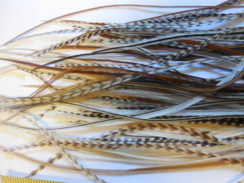 25 ASSORTED WHITING PREMIUM DRY FLY SADDLE HACKLE FLY TYING FEATHERS ASST SIZES