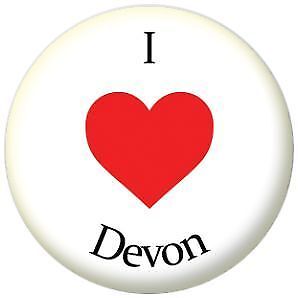 /'I Love Devon/' Pin Button Badge Magnet Keyring Bottle Opener Mirror