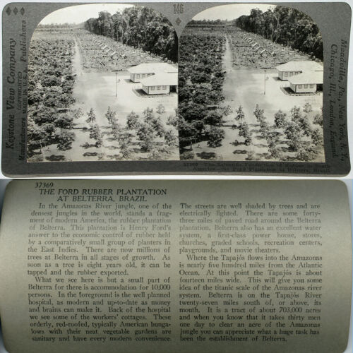 Keystone Stereoview Ford Rubber Plantation Brazil From 600//1200 Card Set #146