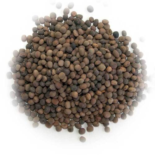 3KG COMMON VETCH  SEED GREEN MANURE 