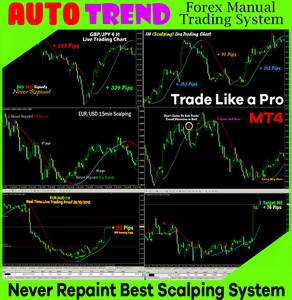 best trend trading system