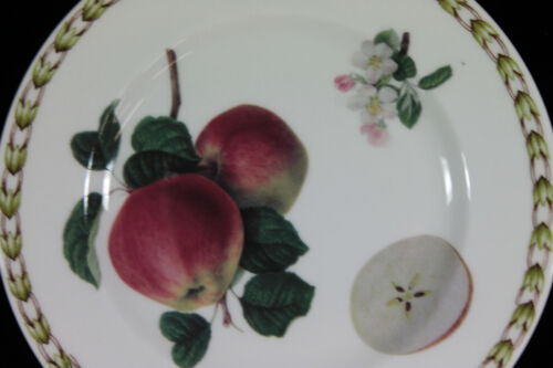 Rosina Queens Hookers Fruit Bread & Butter Plate Apple 6 3/8" Diameter