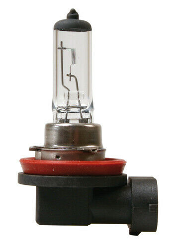 1 Pz D//blister Omologata Per Uso S 12v Lampada Alogena H11-55w Pgj19-2