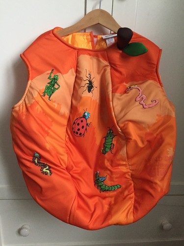 JAMES /& THE GIANT PEACH WORLD BOOK DAY FANCY DRESS COSTUME ROALD DAHL 5-6 7-8