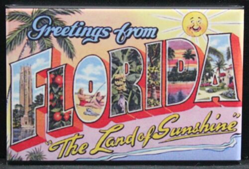 Greetings from Florida Vintage Postcard 2/" X 3/" Fridge Locker Magnet.
