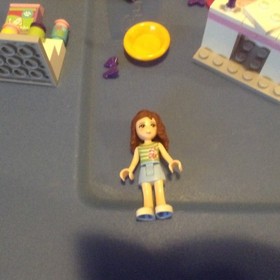 Lego Friends 41007 Heartlake Pet Salon - Retired read
