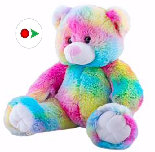 Record Your Own Plush 16 Rainbow Bear Ready 2 Love in a Few Easy Steps Bear