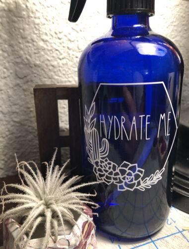 Succulents|Cactus|Stylish|Modern|Label Vinyl|Decal|You Pick Color Hydrate Me 