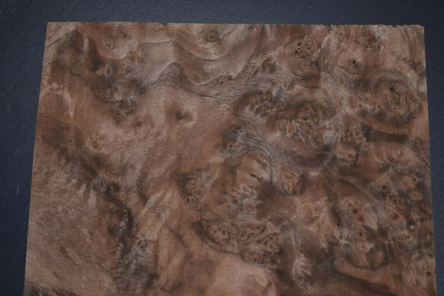 Walnut Burl Raw Wood Veneer Sheets 10 x 11 inches 1//42nd r7368-50