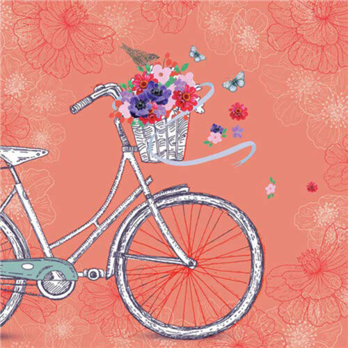 Birthday Pretty Card Female Vintage Bicycle Blank Greeting Card Any Occasion
