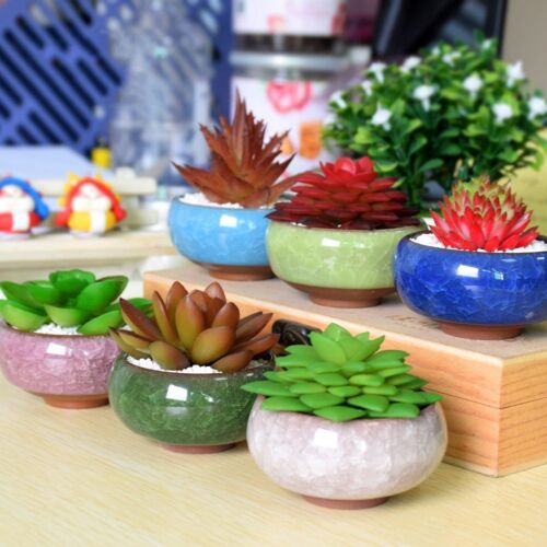 NEWEST Ice-Crack Glaze Flower Ceramics Succulent Plant Mini Pot Garden Flower ca 