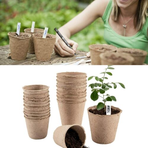 10//50Pcs Biodegradable Pots Plant Seedling Saplings /& Herb Seed Mini Pot