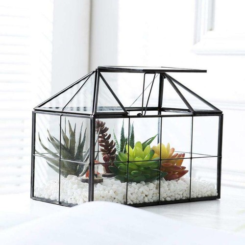 Glass Terrarium Jewelry Box House Shape Geometric Tabletop Succulent Plant Box
