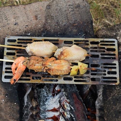 Titanium Charcoal Bbq Grill Barbecue Net Camping Outdoor Grill Net B4P1B4P1