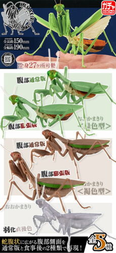 15x19cm Bandai Capsule Toy Insect かまきり Kamakiri Mantis Cplpleted Set 5pcs