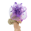 Femmes Plume Coiffure Plume Pince à cheveux mariage Fête Bridal Birdcage Hat