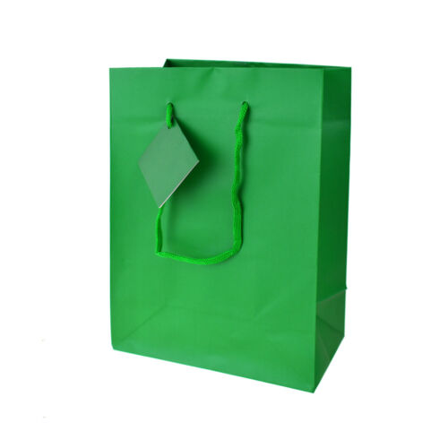 Solid Colored Matte Gift Bags with Tag 9-1//2-Inch