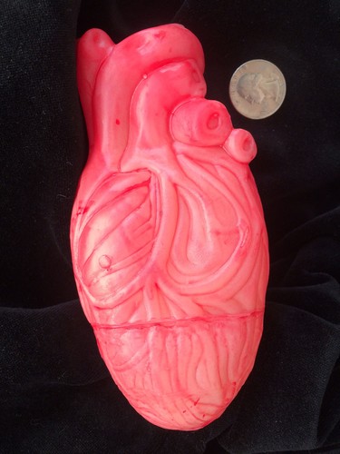 Bloody Zombie Food--HUMAN HEART--Chop Shop Body Part Organ Halloween Horror Prop