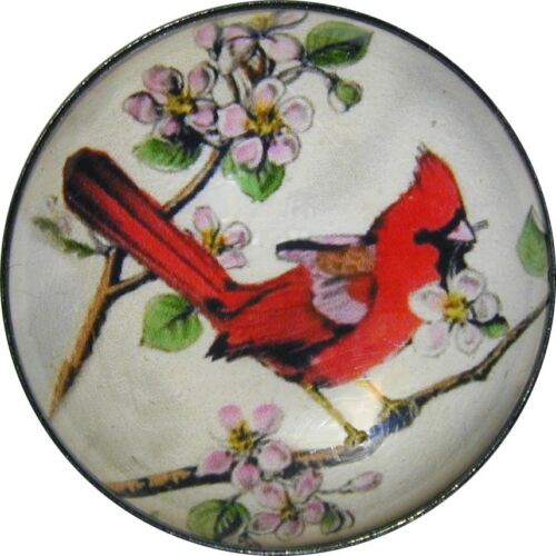 Crystal Dome Button Colorful Bird Orange Gold 1 inch Bird 7 FREE US SHIPPING