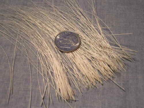 Rescue Natural Shed Cat All White Whiskers Fly Fishing Crafts Arts DIY 30 pieces