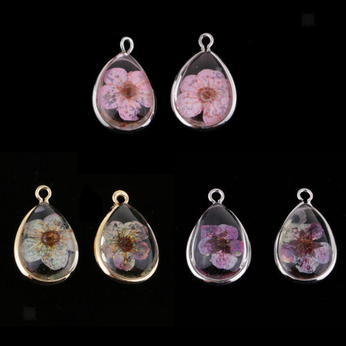 2pcs Water Drop Glass Natural Dried Flower Pendants Home Hanging Decoration