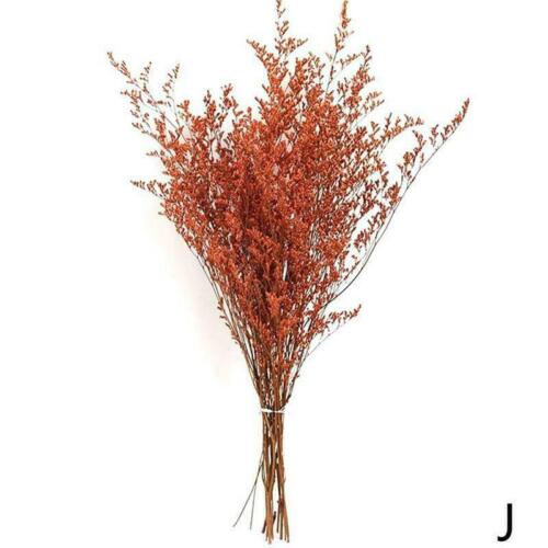 1 Bunch Natural Dried Flowers Bouquet Lover Grass Home Party Decor Crafts H8O1