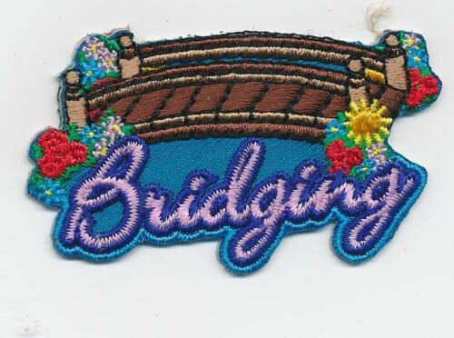 Boy Girl Cub blue BRIDGING Ceremony Fun Patches Crests Badges GUIDES SCOUT