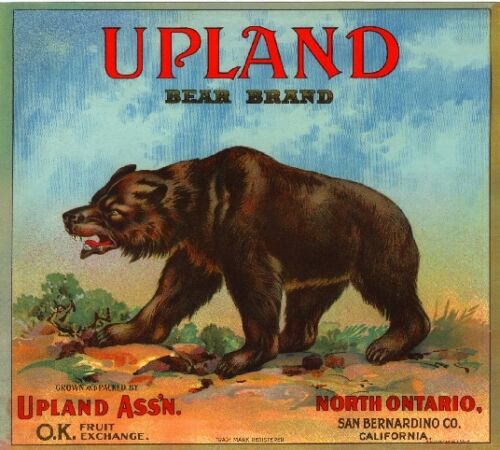 Ontario Upland Grizzly Brown Bear #2 Orange Citrus Fruit Crate Label Art Print 