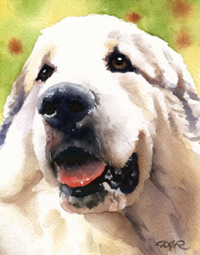 /"GREAT PYRENEES/" Watercolor Dog Art Print by Artist DJR