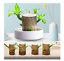 Brazil Lucky Badan Wood Hydroponic Potted Plant Stump Mini Plant Indoor Gift