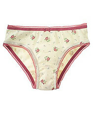 New NWT Vintage 2006 La Belle Epoque Gymboree Underwear panties 2T 3T UPICK 3 4