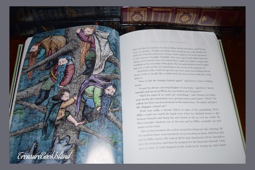 Tolkien Illustrated by J Hobbit By J.R.R Catlin Cloth Bound Hardcover Gift
