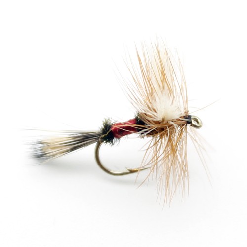 3 6 or 12x Blue Bottle Dry Trout Flies for Fly Fishing