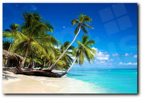 Tropical Beach in Caribbian Sea Saona Island Dominican Canvas Art Poster Print