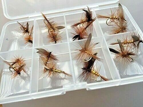 Fliegenfischen Dry Fly Wickhams Fancy Set 16 Fliegen Gratis Clip Shut Box #319 