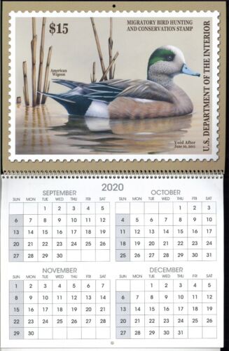 2021 USA Federal Migratory Bird Hunting Conservation Duck Stamp Calendar 