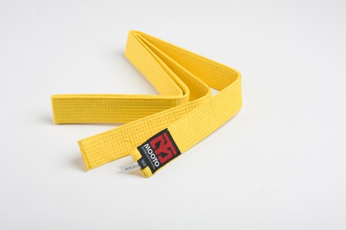 Mooto Color Belt 4cm Wide Single Wrap TKD Taekwondo Hapkido HKD MMA Martial Arts