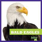 Bald Eagles by Mari C Schuh (Hardback, 2016)