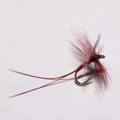 LUNNS PARTICULAR Dry Fly Trout fly Fishing flies by Dragonflies