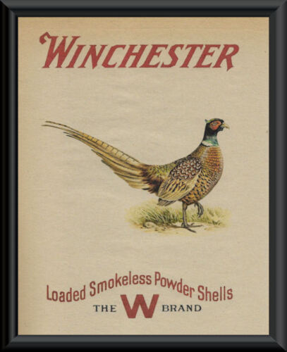 Winchester Pheasant Hunting Advertisement Reprint On 90 Year Old Paper 111