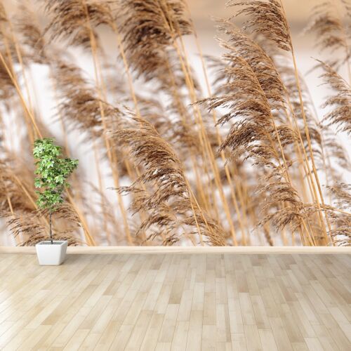 Details about  &nbsp;Photo wallpaper Wall mural Removable Self-adhesive Reed Brown