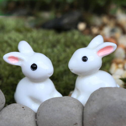 2 Pcs Mini Rabbits Miniature Garden Ornament Resin Craft Fairy Party Decoration