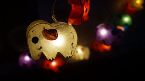 Saa Paper Elephant Fairy Light with String Globe Bulb 3 metres long Fair Trade 