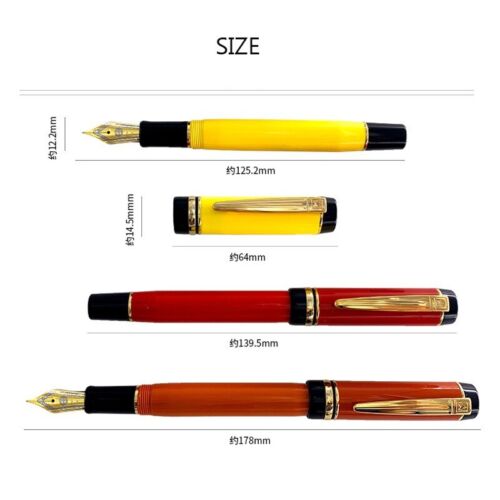 Wing Sung 670 Red Acetate Resin Fountain Pen EF 0.38mm Nib Converter Writing #sa