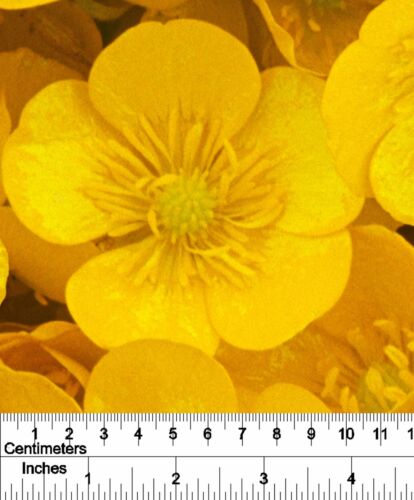 2 sheets of 70x50cm quality BUTTERCUPS gift-wrap eco-friendly wrap