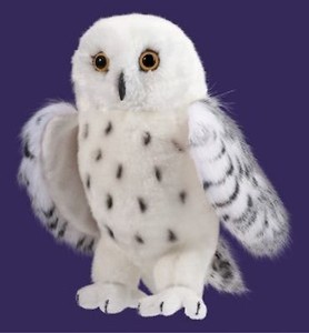 Douglas Legend SNOWY OWL 10